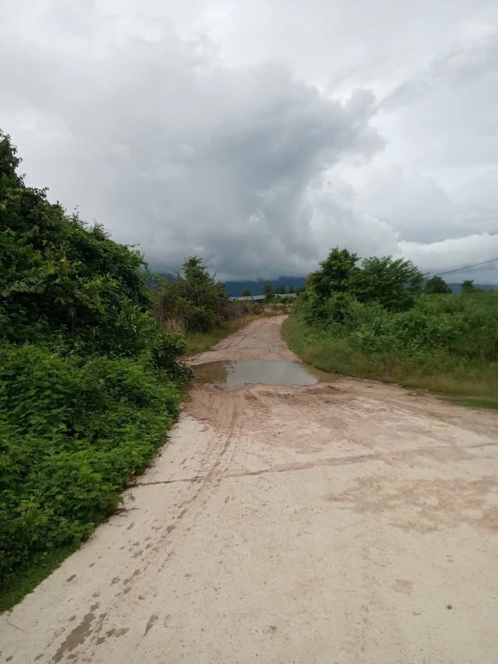 Đất trồng cây lâu năm thổ cư Ninh Tây 10,000m² giá 1.1 tỷ - Cơ hội đầu tư sinh lợi!