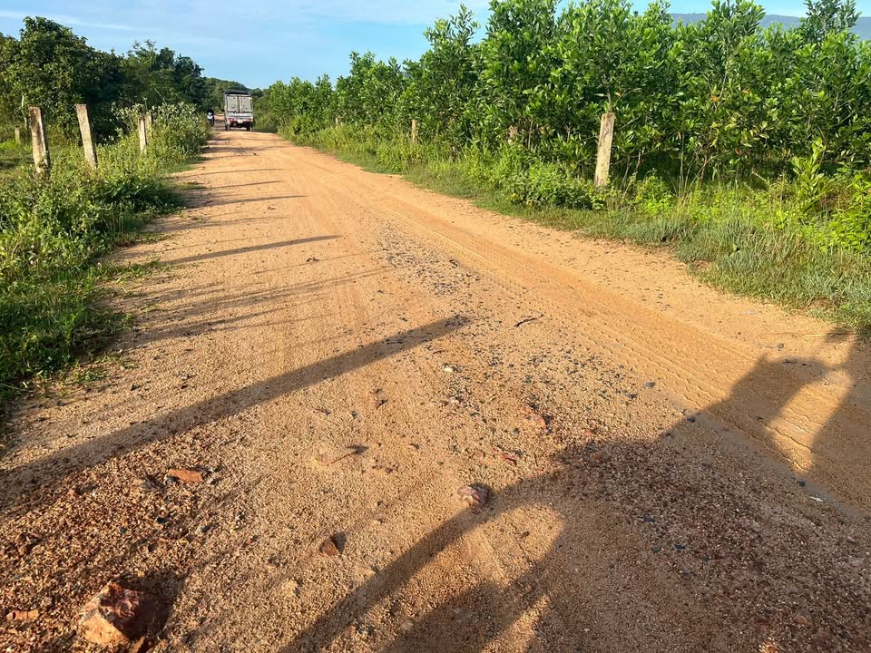 Đất Farm 3ha xã Thuận Minh, Hàm Thuận Bắc giá 12.24 tỷ - Tiềm năng đầu tư khu nghỉ dưỡng!