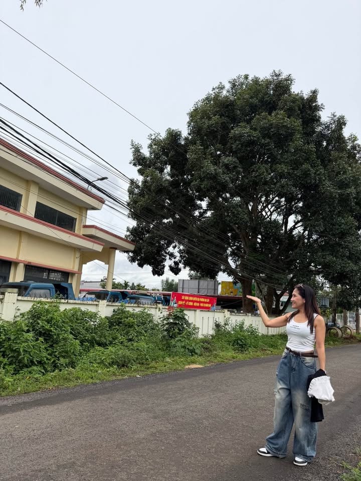 Đất nền Tân An, Buôn Ma Thuột 266m² giá 3.8 tỷ - Vị trí đẹp không thể bỏ qua!