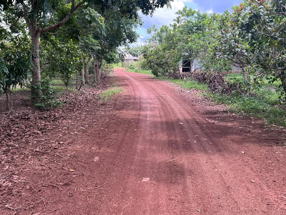 Đất nền Bù Đốp 1xào giá 190 triệu - Mặt tiền đường lớn, đầu tư lý tưởng!