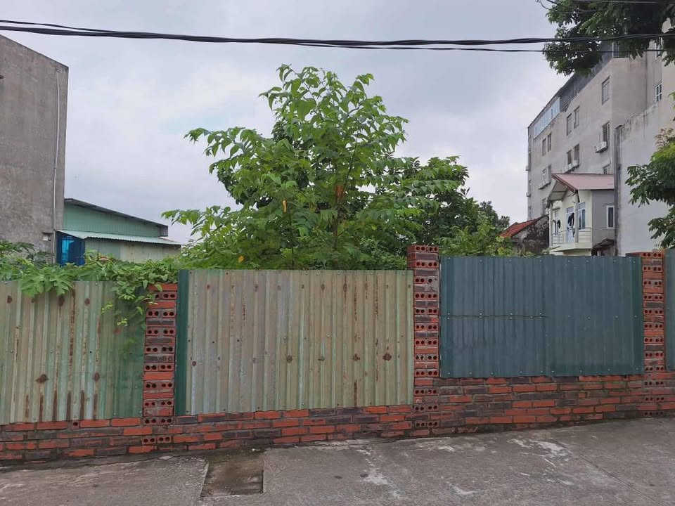 Đất nền phường Cao Xanh, Hạ Long 132m² giá 3.96 tỷ - Đầu tư sinh lời!