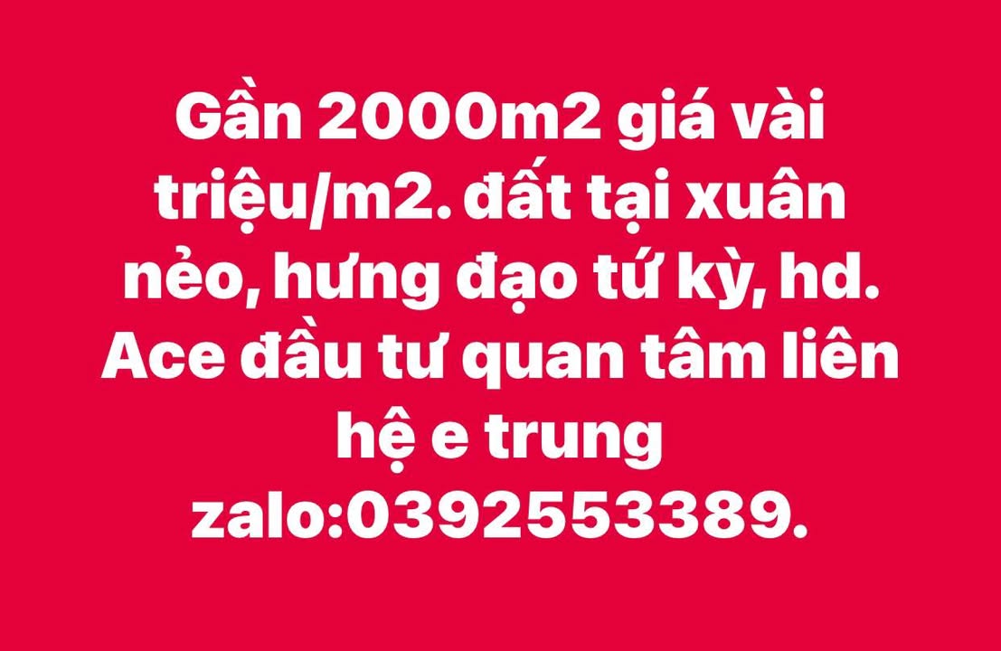 Đất nền 2000m² tại khu phố Xuân Nẻo, xã Hưng Đạo, huyện Tứ Kỳ - Cơ hội đầu tư sinh lời!