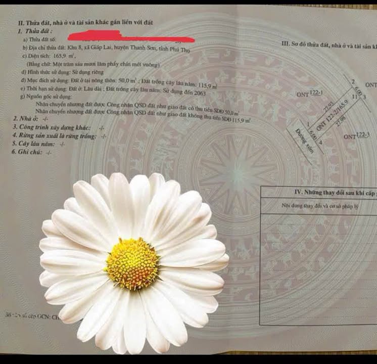 Đất nền Giáp Lai, Thanh Sơn 165m² giá 650 triệu - Cơ hội đầu tư hấp dẫn!