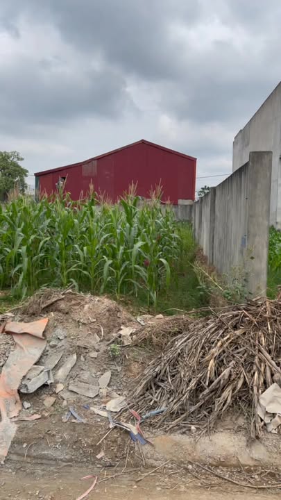 Đất Phú Hưng Hà Thạch 100m² giá chỉ 1 tỷ - Cơ hội đầu tư tuyệt vời!