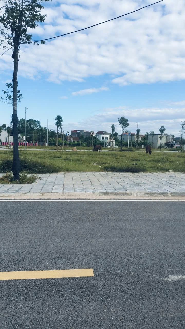 Đất nền KDC số 1 Xuân Hương, Lạng Giang 90m² - Kinh doanh tốt, đầu tư sinh lời!