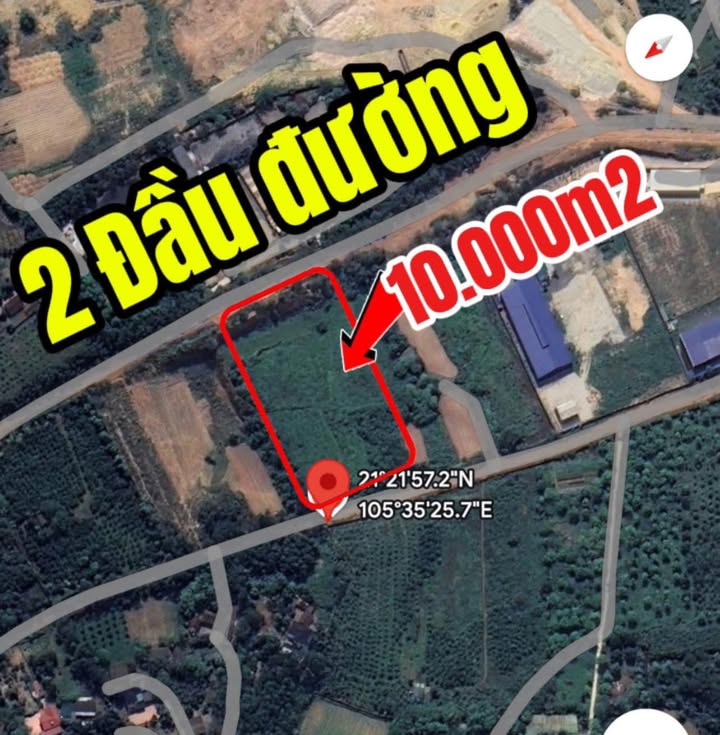 Đất nền Hướng Đạo, Tam Dương 10.000m² giá chỉ vài trăm nghìn/m² - Cơ hội đầu tư tốt!