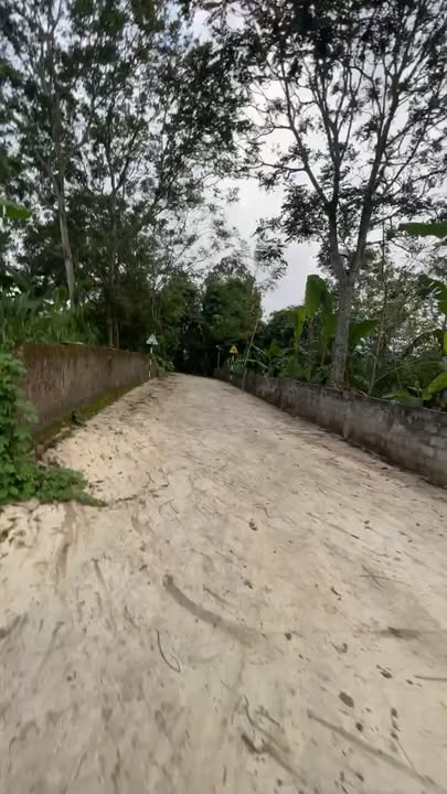 Lô đất Nghĩa Tiến 2622m² giá thỏa thuận - Đầu tư sinh lời ngay!