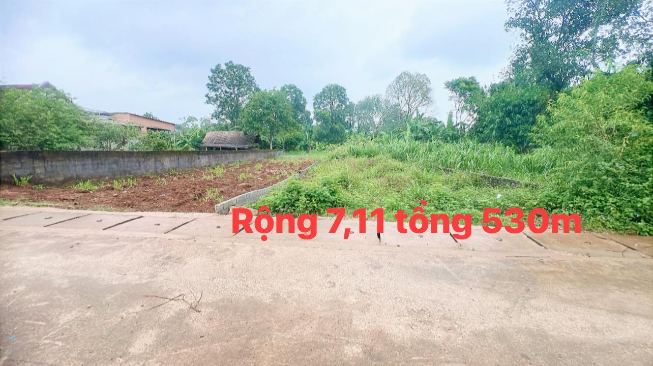 Đất nền 530m² tại Khối Hòa Long, phường Tây Hiếu, giá chỉ 1.28 tỷ - Cơ hội đầu tư tuyệt vời!