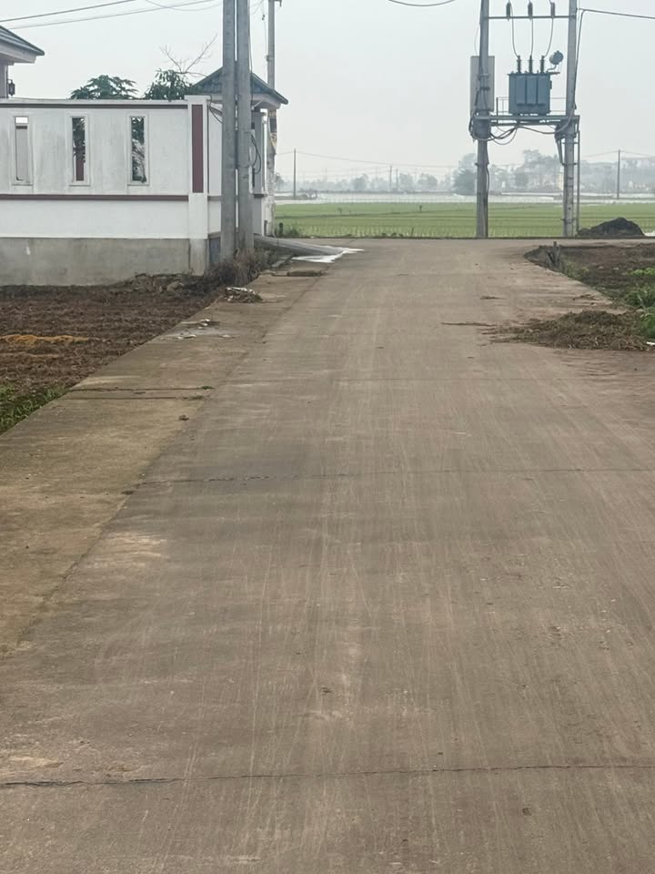 Đất nền An Thịnh Lương Tài 80m² mặt tiền 4.5m - Giá tốt cho nhà đầu tư!