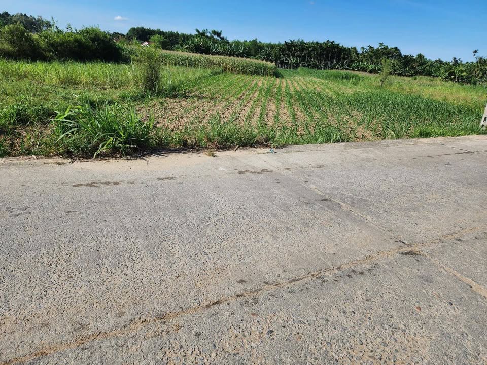 Đất nền Phước Lộc Nhà Bè 877m² giá 350 triệu - Cơ hội đầu tư tuyệt vời!