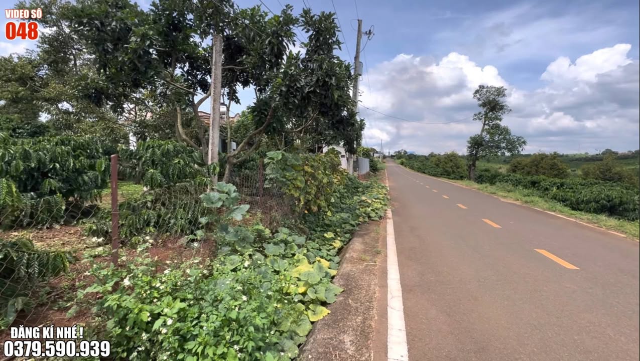 Bán đất mặt đường nhựa Liên Hà, Lâm Hà 1000m² giá 910 triệu - Đầu tư sinh lời cao!