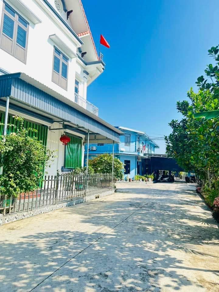 Lô đất Tứ Cường, Thanh Miện 100m² giá chỉ 1.6 tỷ - Chính chủ bán gấp!