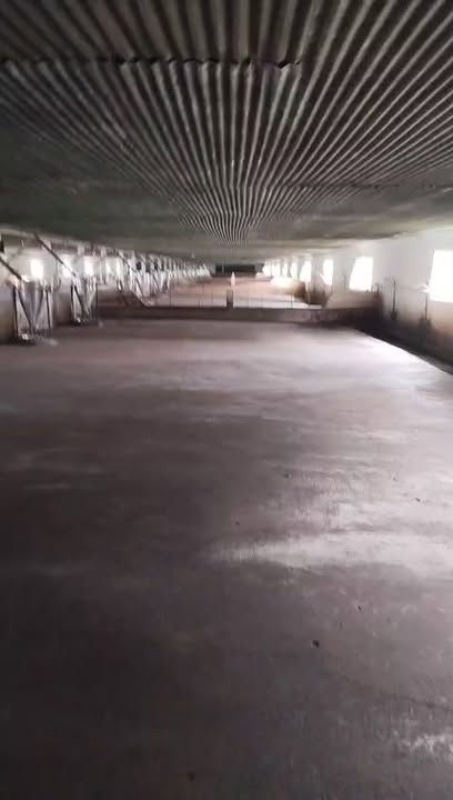 Trang trại heo 10ha tại Kiên Giang giá 50 tỷ - Đầu tư sinh lời ngay!