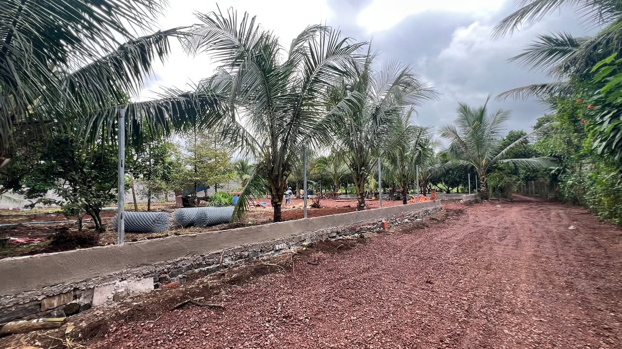 Đất vườn nghỉ dưỡng 500m² tại Long Khánh - Đầu tư an toàn, giá trị gia tăng cao!