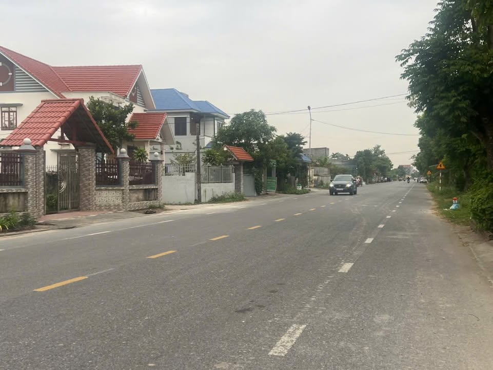 Đất nền mặt tiền đường trục tỉnh Thái Thụy 100m² giá 1 tỷ - Kinh doanh sầm uất!