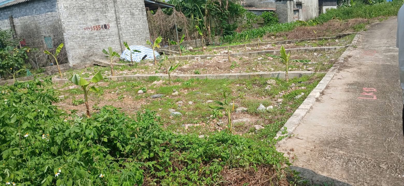 Đất nền Mỹ Lương, Chương Mỹ 52.8m² giá 1 tỷ - Đầu tư sinh lời ngay!