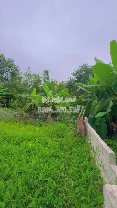 Lô đất Tân Thành Thái Nguyên 888,8m² - Đầu tư sinh lời với phong thủy đỉnh cao!