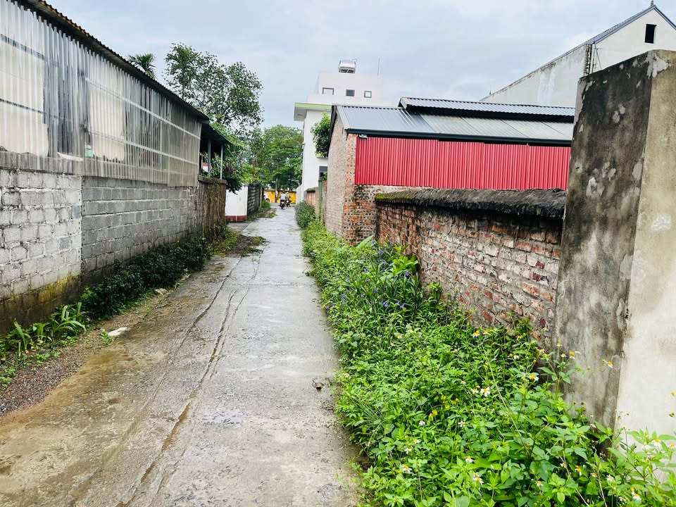 Đất nền Nhuận Trạch Lương Sơn 1117m² - Tiềm năng đầu tư lớn!