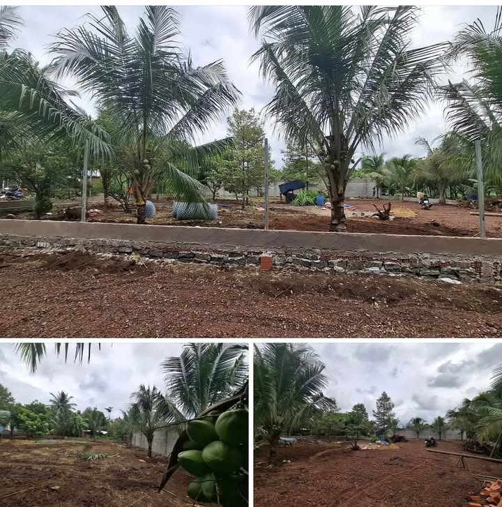 Đất nền phường Bảo Vinh, Long Khánh 518m² giá 1.19 tỷ - Đầu tư sinh lời hấp dẫn!