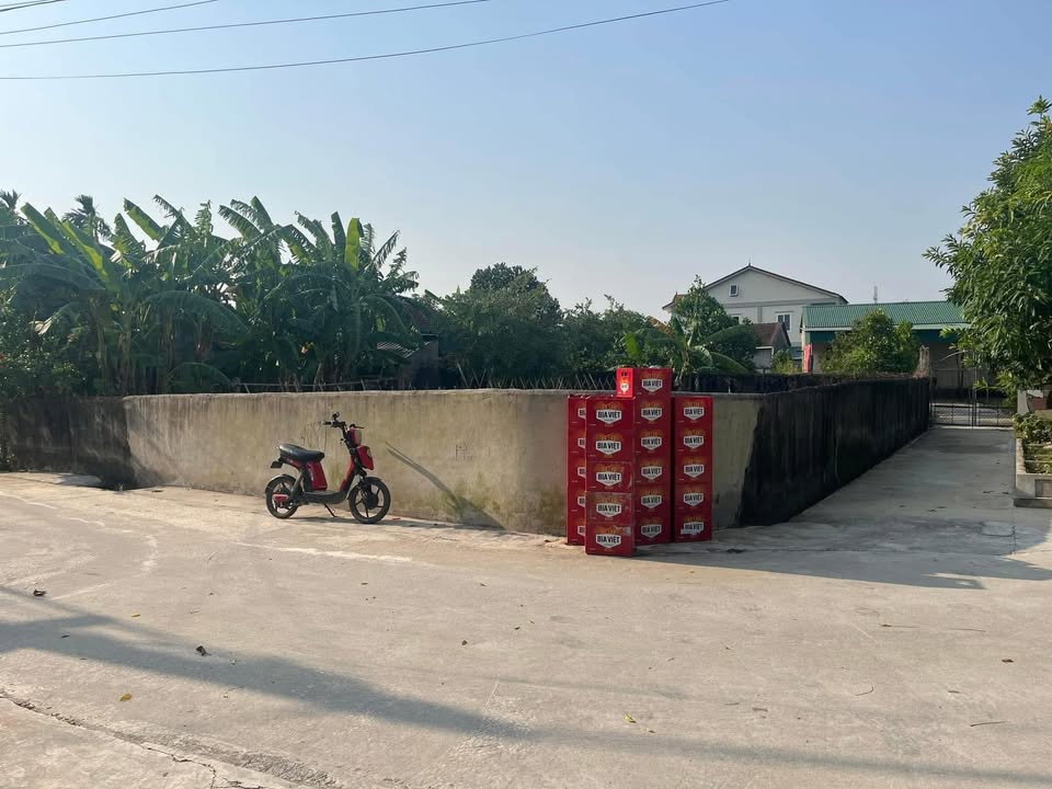 Đất nền Xóm 5, xã Đại Huệ, 100m² giá 800 triệu - Đầu tư sinh lời ngay!