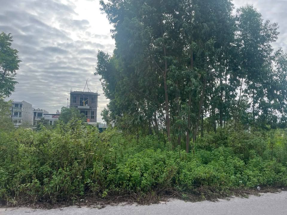 Đất nền Đa Mai, Bắc Giang 91m² giá thỏa thuận - Vị trí đắc địa gần chợ và trường học!