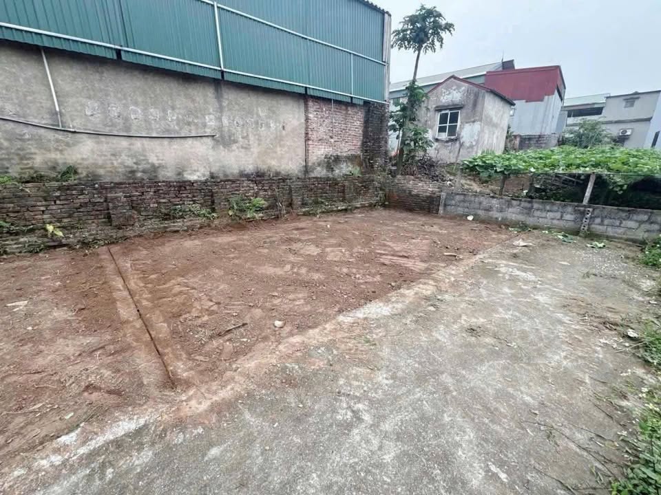 Đất nền tại xã Tự Nhiên, Thường Tín 40.1m² giá 1.65 tỷ - Cơ hội đầu tư tuyệt vời!