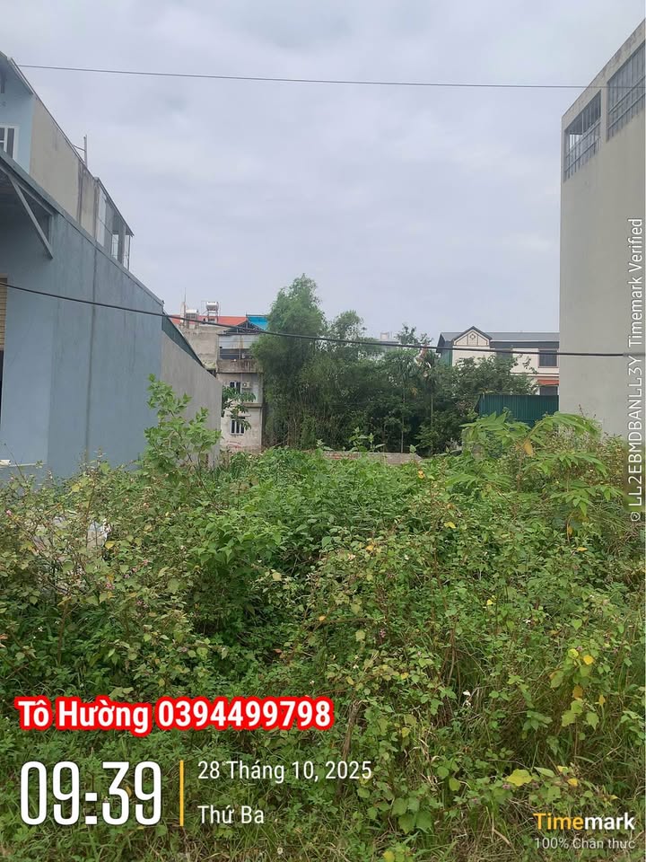 Đất nền Chúc Sơn, Chương Mỹ 100m² giá 6 tỷ - Vị trí đắc địa, tiện ích đầy đủ