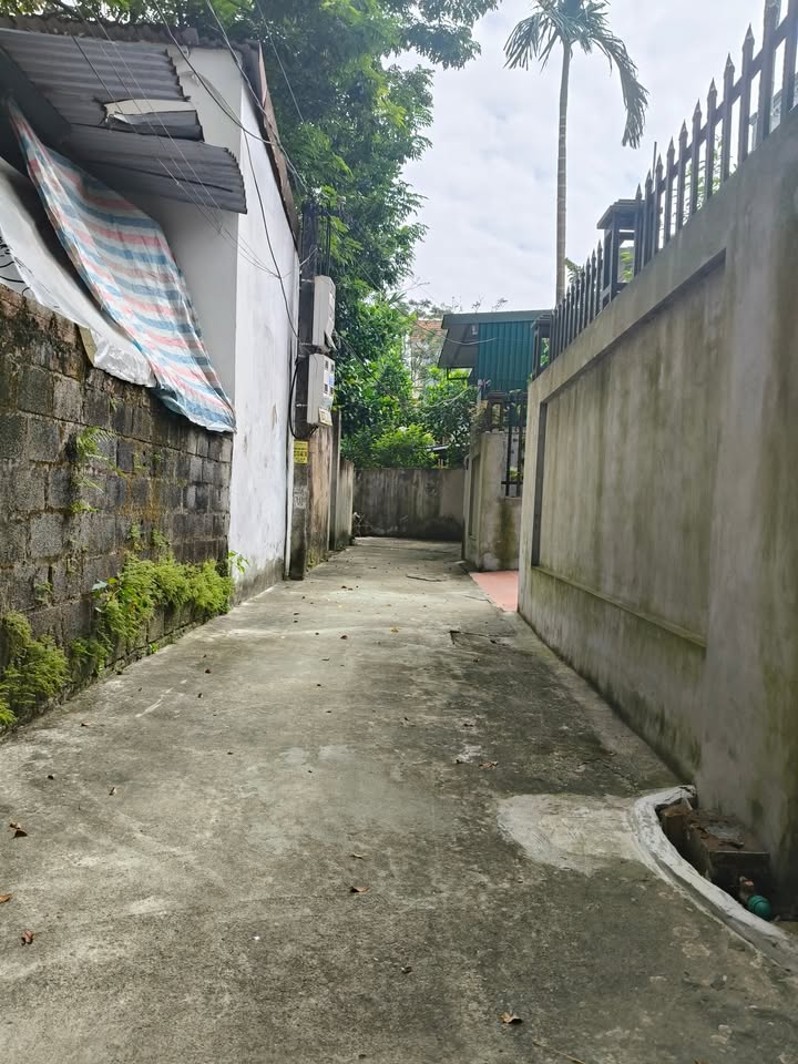 Đất thổ cư 60m² thôn Vĩ, Thanh Oai giá 2.5 tỷ - Sổ đỏ chính chủ!