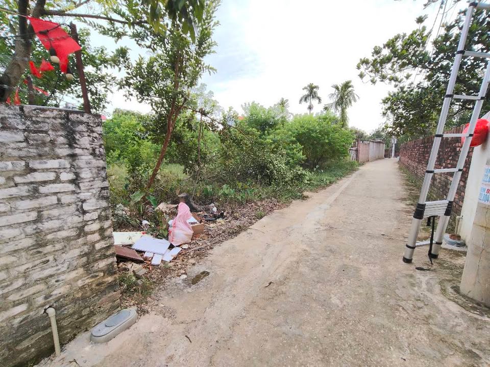 Đất nền siêu đẹp 420m² tại xã Trung Giã, Sóc Sơn - Giá chỉ 42 tỷ!