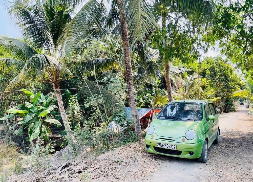 Đất vườn 1.124m² tại Thoại Sơn, An Giang - Giá chỉ từ 400 triệu!