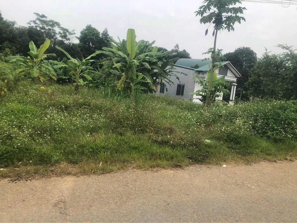 Đất nền Phú Hộ 125m² giá 900 triệu - Cơ hội đầu tư sinh lời cao!