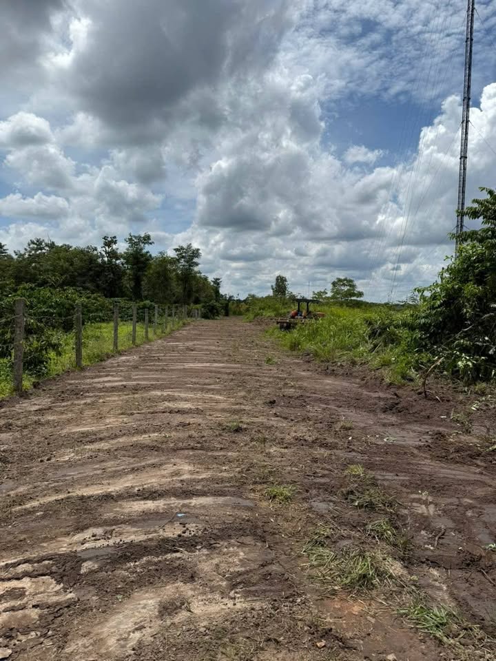 Đất thổ cư Ea Ning, Cư Kuin 16,000m² giá chỉ 1.29 tỷ - Cơ hội đầu tư hiếm có!