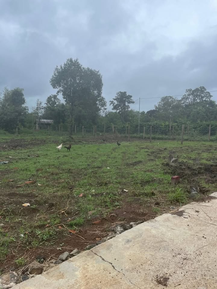 Đất nền xã Ea Phê, huyện Krông Pắc 150m² giá 290 triệu - Pháp lý rõ ràng, sẵn sàng công chứng!