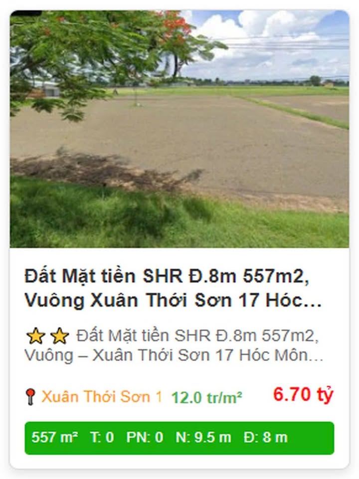 Đất mặt tiền Xuân Thới Sơn 557m² giá 6.8 tỷ - Đầu tư lý tưởng!