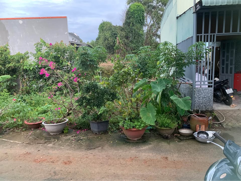 Đất nền An Ngãi Long Điền 214m² giá 1.25 tỷ - Đường xe hơi, tiện ích xung quanh!