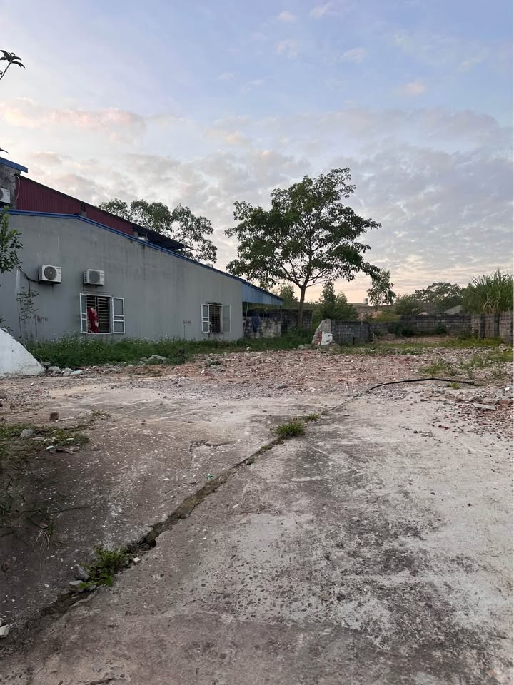 Đất nền Phường Tân Lập, Thái Nguyên 85m² giá 1.9 tỷ - Cơ hội đầu tư hấp dẫn!