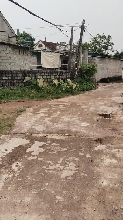 Đất nền Lý Thành, Yên Thành 216.6m² giá 600 triệu - Đầu tư sinh lời hấp dẫn!