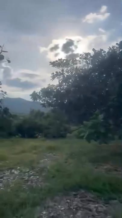 Đất Farm Tân Thành 1,4ha giá 520 triệu - Đầu tư sinh lời ngay!