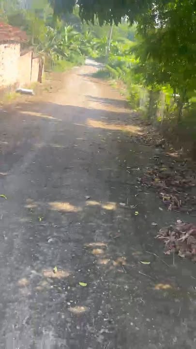 Lô đất Thanh Đình 112,4m² giá chỉ 900 triệu - Cơ hội vàng đầu tư!