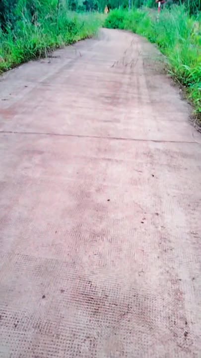 Đất nền Tuy Đức Đắk Nông 6000m² giá 400 triệu - Mặt tiền bê tông rộng rãi!