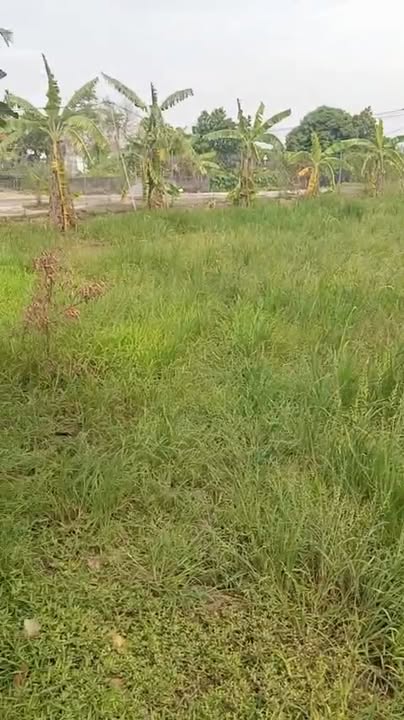 Đất nền mặt đường trục xã Khánh Thiện 4000m² - Đầu tư sinh lợi tại Ninh Bình!