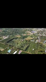 Đất nền 17.000m² mặt tiền đường lớn tại B'lao, Bảo Lộc - Cơ hội đầu tư sinh lời!