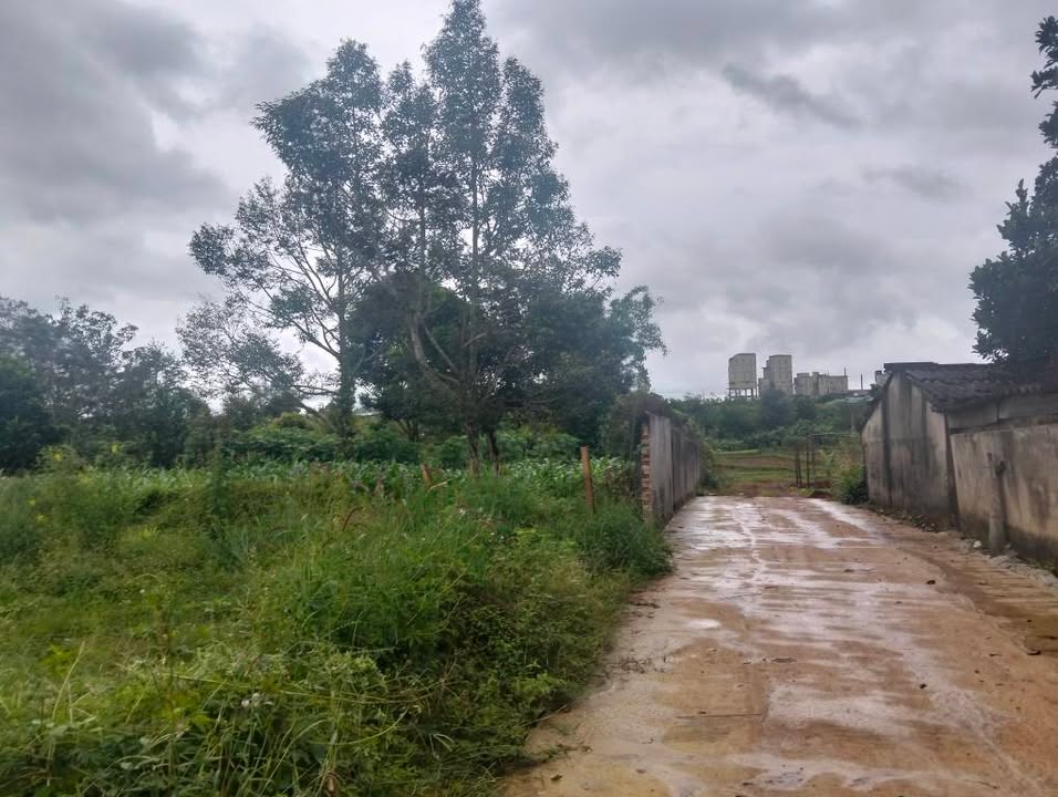 Đất nền Hẻm 415 Lê Đại Hành, Pleiku 105m² giá 800 triệu - Sổ hồng chính chủ!