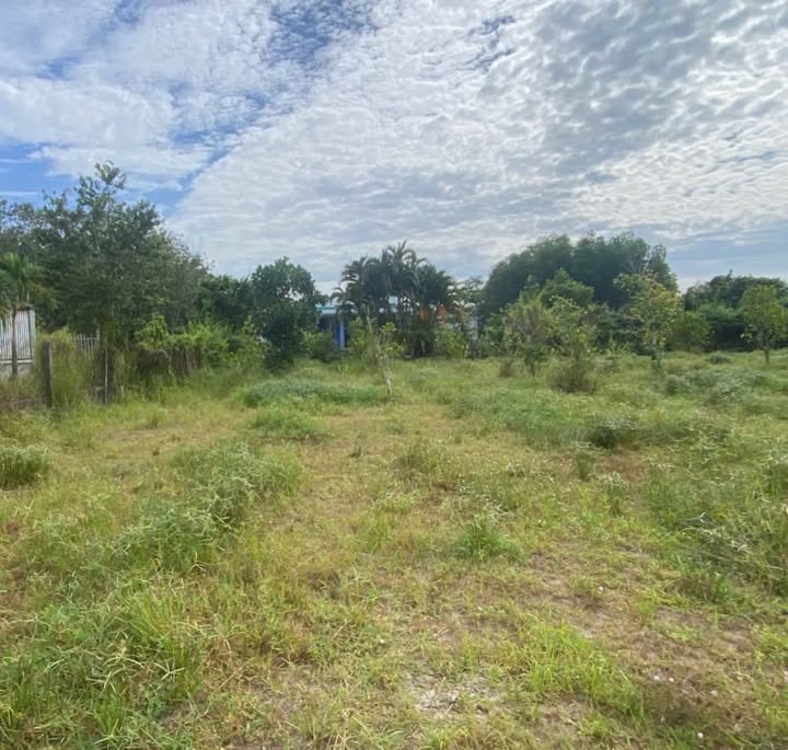 Đất thổ cư Trảng Bàng Tây Ninh 382m² giá 549 triệu - Ô tô vào tận đất!