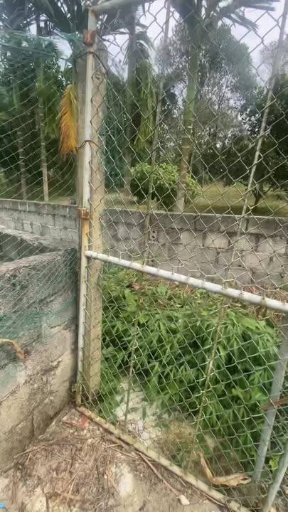 Đất thổ cư 100m² mặt tiền hơn 7m tại An Phú, Mỹ Đức - Giá chỉ 800 triệu VND!