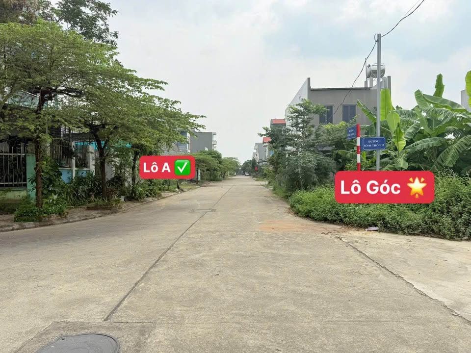 Đất Gò Xoan Thanh Vân 100m² giá 2.3 tỷ - Cơ hội đầu tư hấp dẫn!