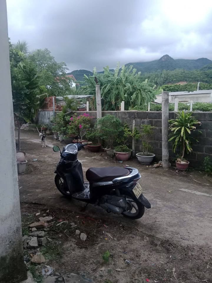 Đất nền Phước Đồng Nha Trang 232m² giá 1.55 tỷ - Sổ đỏ chính chủ, vị trí đẹp!