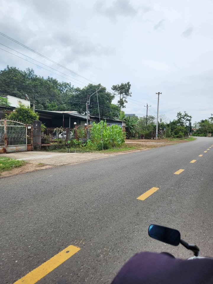 Đất nền mặt tiền DH504, Bình Tân 365m² giá 650 triệu - Cơ hội đầu tư tốt!