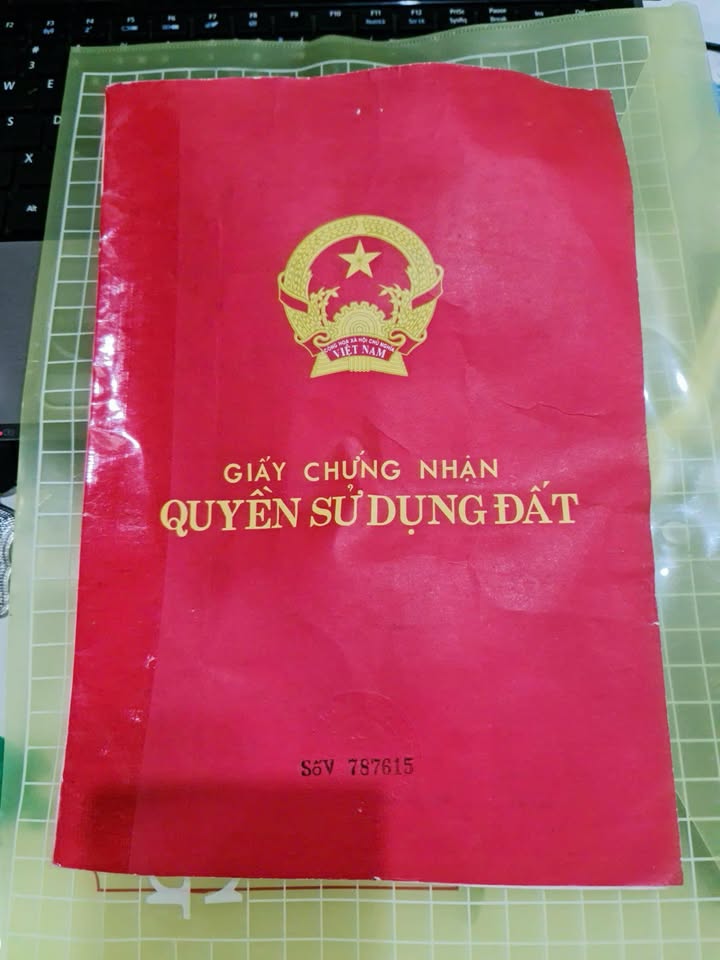 Đất nền Ngọc Định 13680m² giá 600 triệu - Cơ hội đầu tư tuyệt vời!