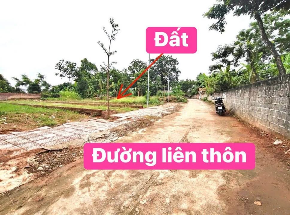 Đất thổ cư 164m² Đồng Tĩnh Tam Dương giá chỉ 600 triệu - Tiềm năng kinh doanh lớn!